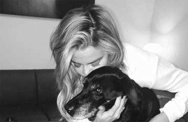 Khloe Kardashian's dog died