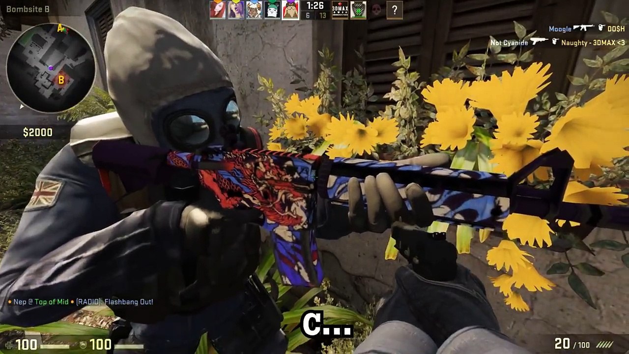 Random CS:GO Bullshittery (part 5)