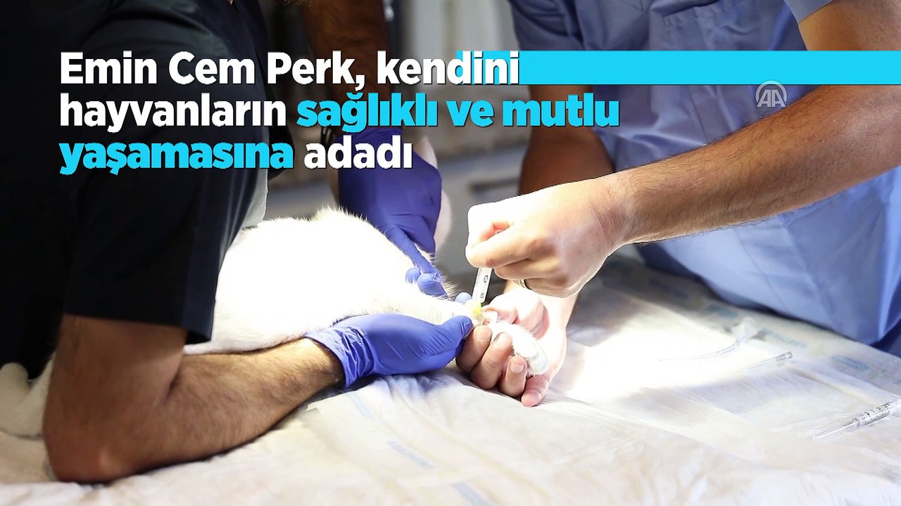 Hayvanların 'eli ayağı' oluyor
