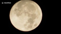Supermoon lights up the sky in Katwa, India