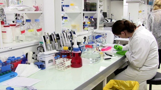 Minute de la santé : Nos cellules peuvent nous sauver du cancer