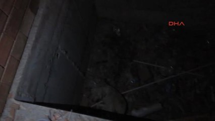 Manisa Asansör Boşluğuna Düşen Köpeği İtfaiye Kurtardı