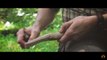 Carving a Button with a Swiss Army Knife • Bushcraft Skills