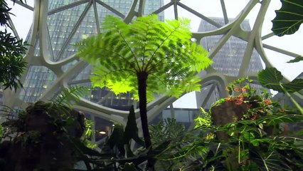 Amazon cria ‘biosferas’ para melhorar produtividade