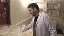 Zika Virüsü ile Mücadele Çalışmaları - Rteü Öğretim Üyesi Doç. Dr. Akıner