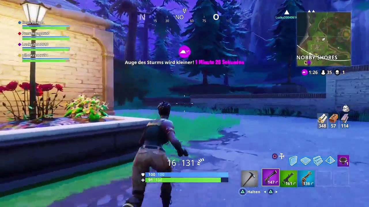 Fortnite (12)