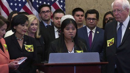 下载视频: Democratas levam 'dreamers' ao Congresso