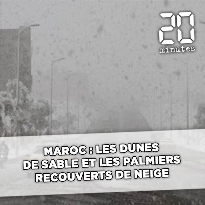 Maroc: Les dunes de sable et les palmiers recouverts de neige