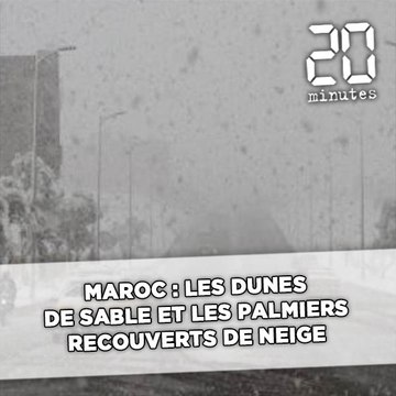 Maroc: Les dunes de sable et les palmiers recouverts de neige