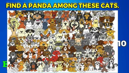 Can You Find These 14 Odd One Out Puzzles - LEVEL 11