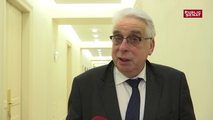 Скачать видео: Réforme du CESE : « Les assemblées du futur, ce sont l’Assemblée nationale et le Sénat »