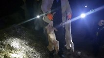 Kastamonu’da yavru köpekler, tel örgülerle birbirine bağlanarak boğulmuş halde bulundu