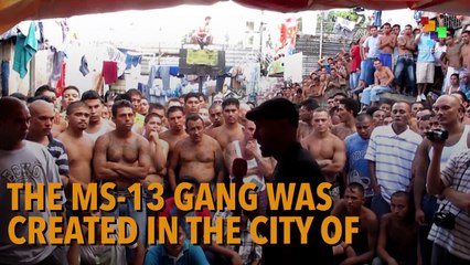Unveiling the U.S. and MS-13: A Deep Dive into Their Complex History