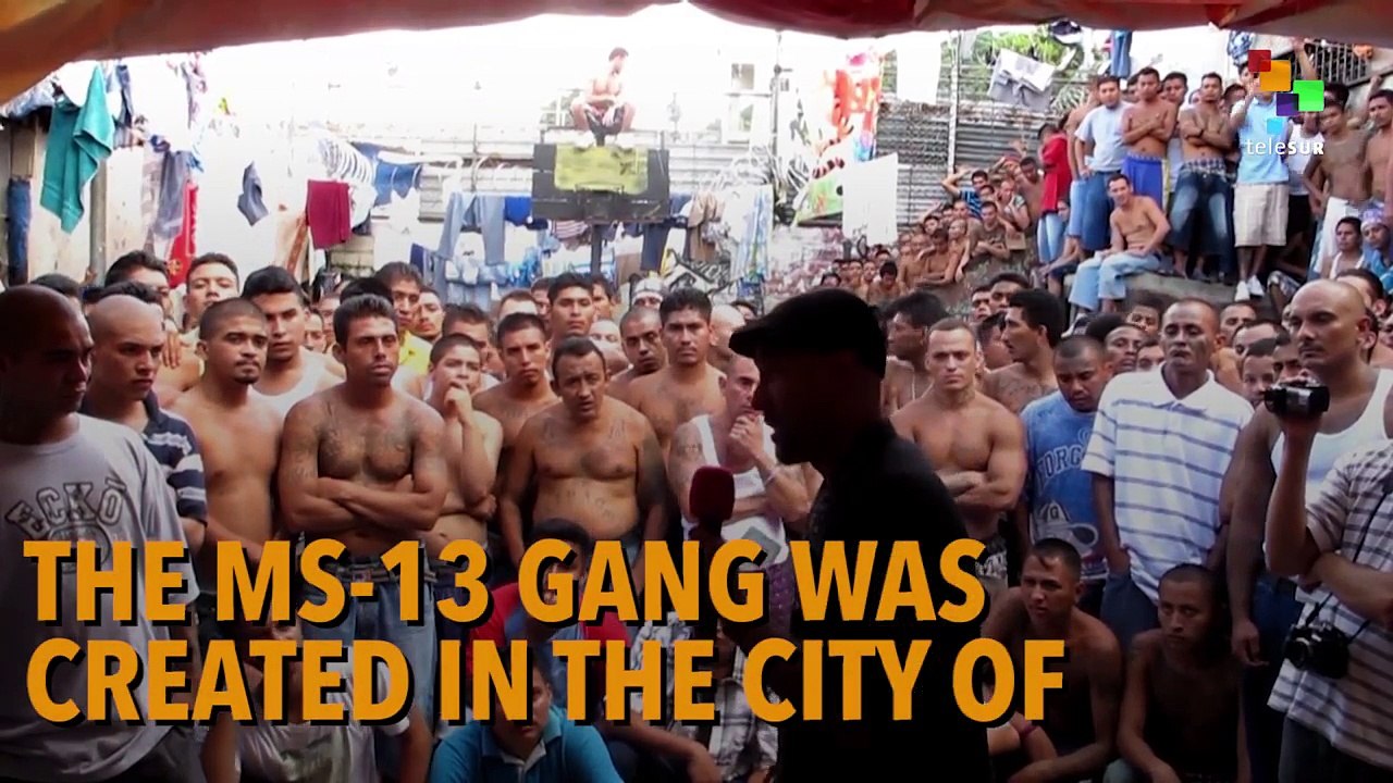 The History of the U.S. and MS-13