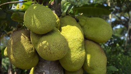 Some of the Hottest Food Trends of 2018 are Pretty Weird