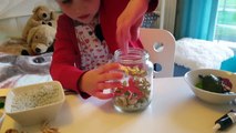DIY - Zelf aquarium in pot maken - knutselen (Nederlands)