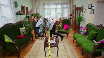 Aslan Ailem 16. Bölüm 2. Fragmanı