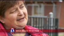 Women Say Their Two Small Dogs Were Killed by Pit Bulls While on a Walk