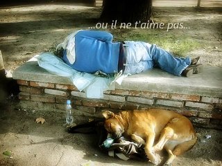 Aidons nos Sans Abris et leurs compagnons