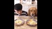 Qui mange le plus vite ses spaghettis... Les chiens ou le maitre ???