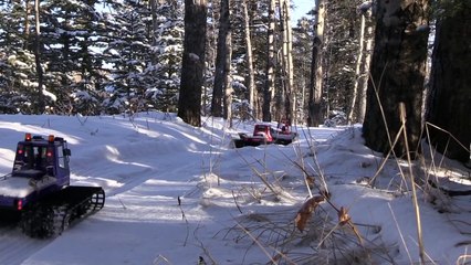 RC CWR 3 Kyosho Blizzards on a Snow Run