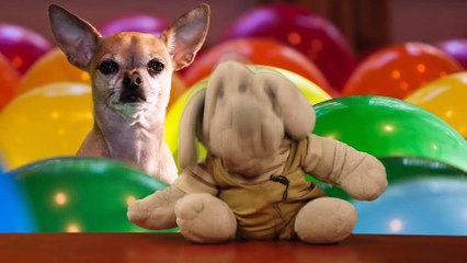 Today's Birthdays By Wrinkles 31/01/2018