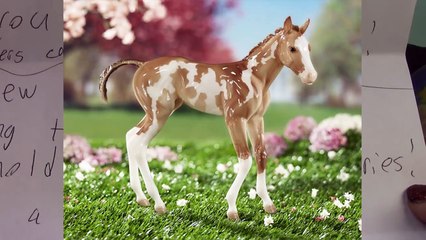 Breyer Fan Mail #6 Mini Whinnies Horse Drawings Special Gifts Mystery Blind Bag