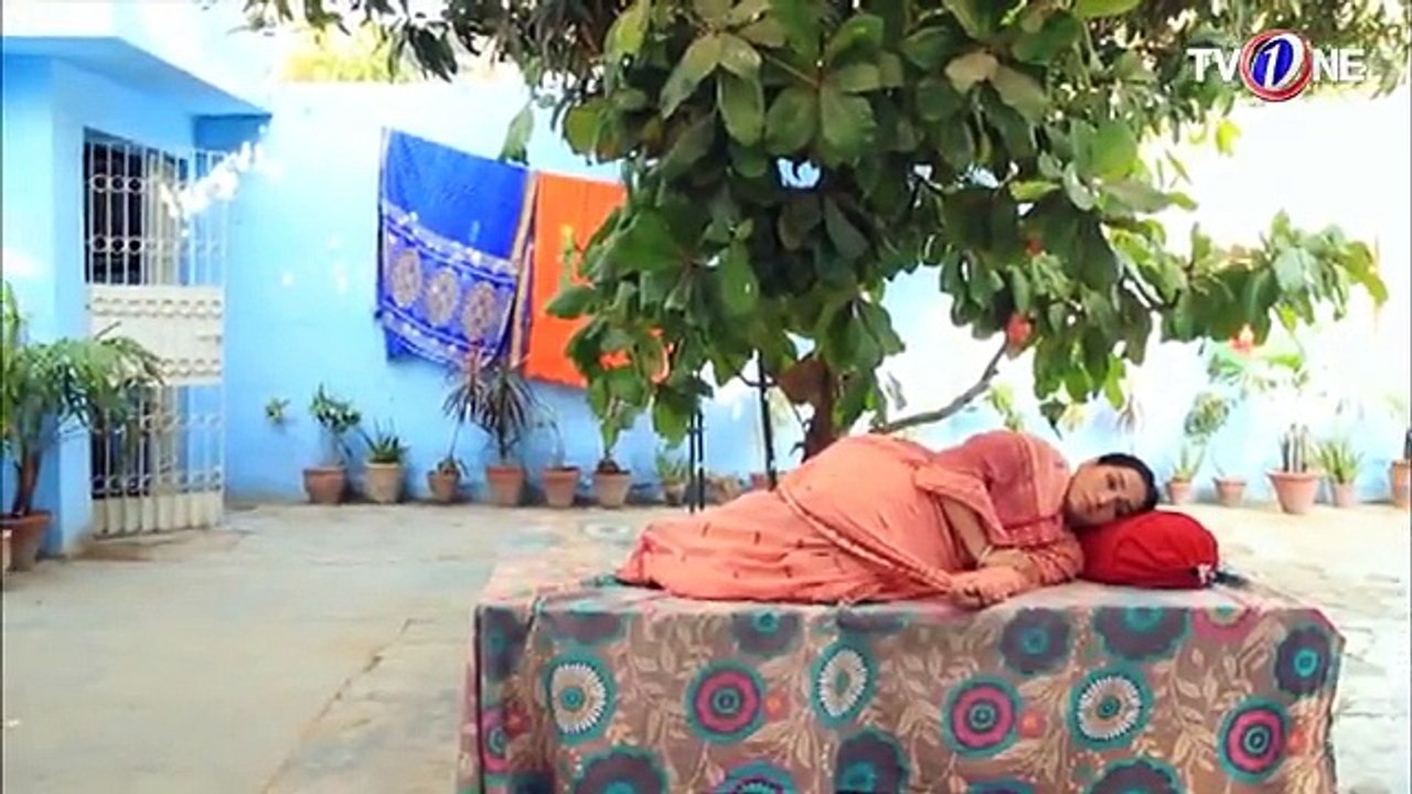 Love In Gulshan e Bihar Episode 87