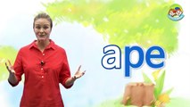 4 STEP PHONICS - STEP 3(Long Vowel Sounds) - Lesson 1(a- ape, ate, ake)