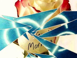 Good morning Buongiorno