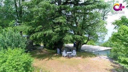 Drama | Meherbaan - Episode 29| Aplus ᴴᴰ Dramas | Affan Waheed, Nimrah Khan, Asad Malik