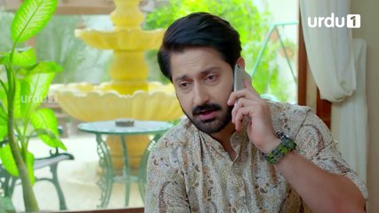 Amanat - Last Episode 20 | Urdu1 ᴴᴰ Drama | Noor Hassan, Rubab Hashim, Sehra Fazal, Hinan Sameed