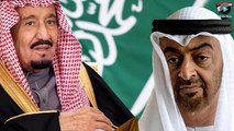 الملك سلمان يصفع محمد بن زايد و يطرد جـ نود الامارات من عدن