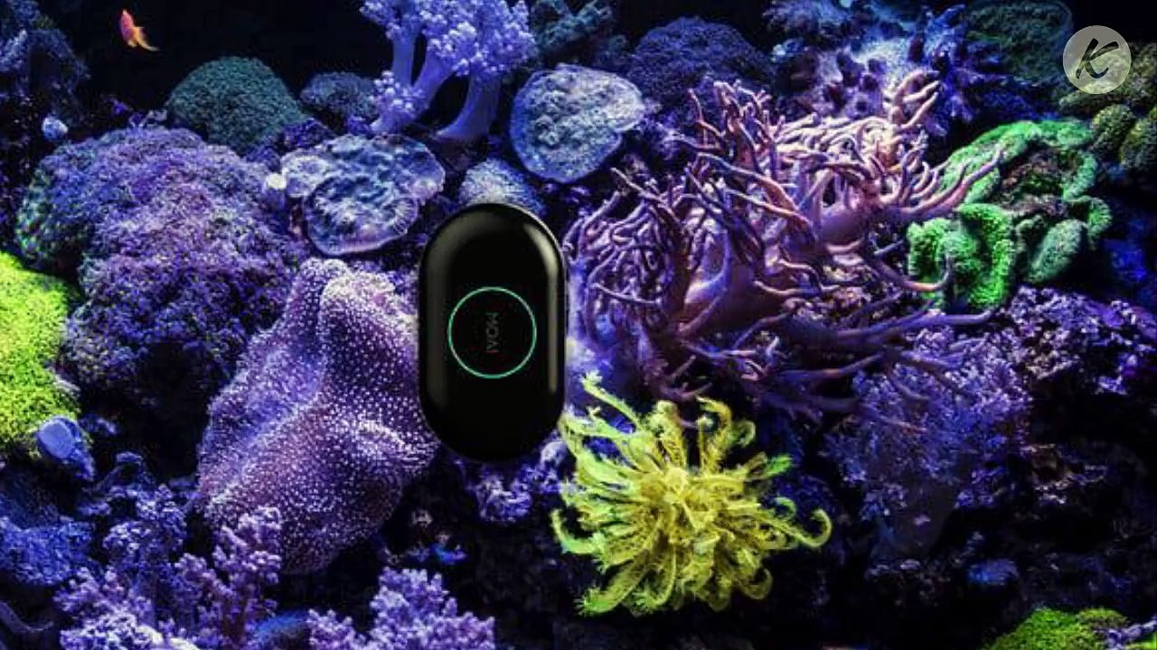Moai rend votre aquarium plus cool  !