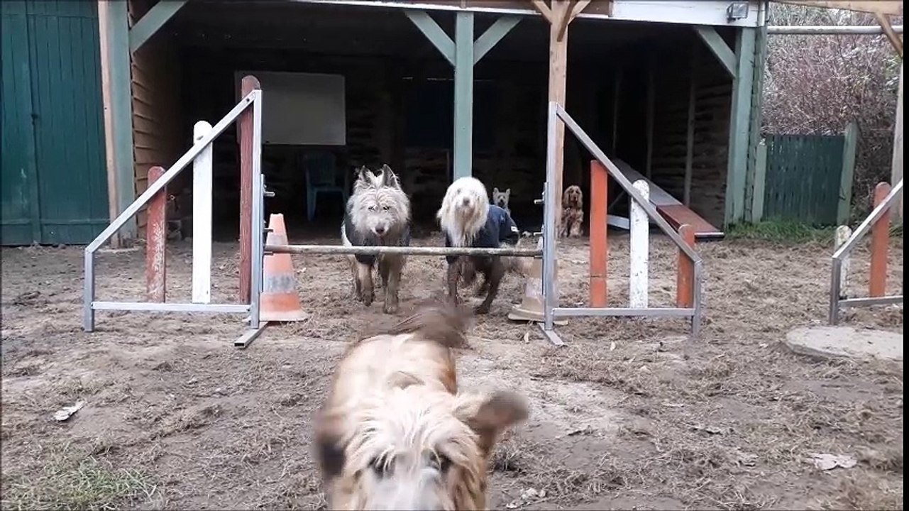 Devant saute ... ou pas !!!