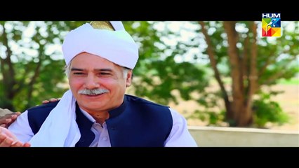 Aik Pal Episode 9 Full HUM TV Drama Jan 19, 2015