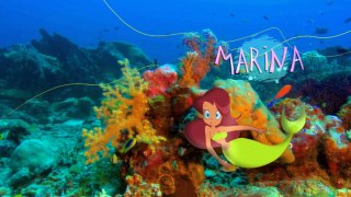 Zig & Sharko - FREEDOM FOR MARINA ! (S01E39) _ Full Episode in HD