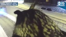 WHAT A HOOT! Traffic cam captures owl watching cars - ABC15 Digital