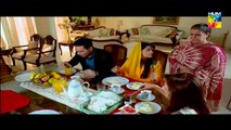 Mere Mehrban  Episode 15 HUM TV Drama Full Episode