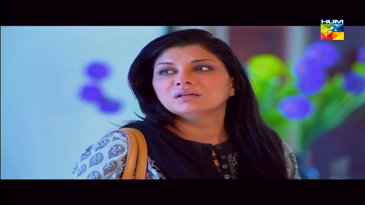 Ishq Mein Teray Last Episode HUM  TV Drama