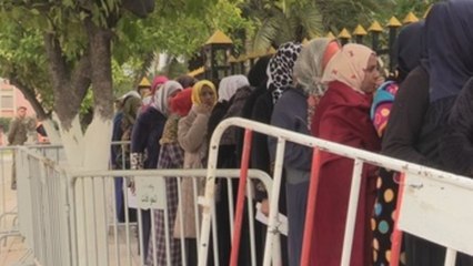 Los agricultores españoles buscan temporeras marroquíes para cosechar la fresa