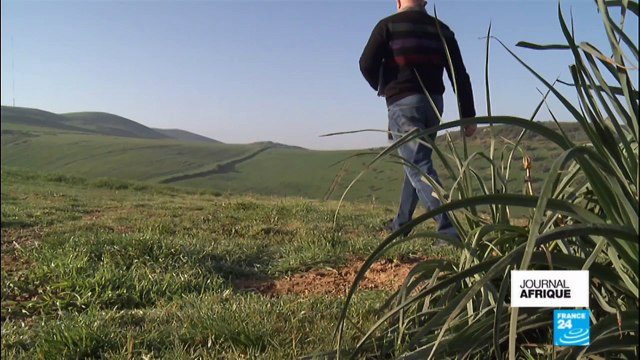 Emmanuel Macron en Tunisie, les attentes des entrepreneurs
