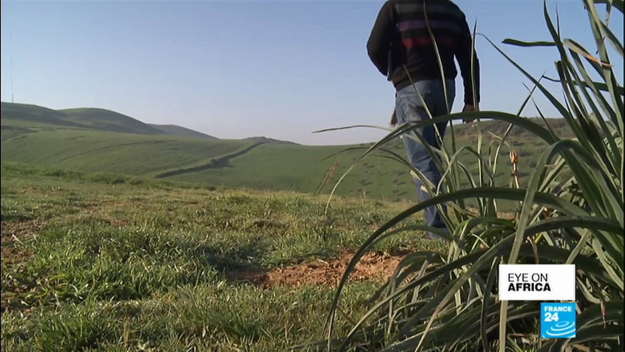 Prospects and hurdles for French entrepreneurs in Tunisia