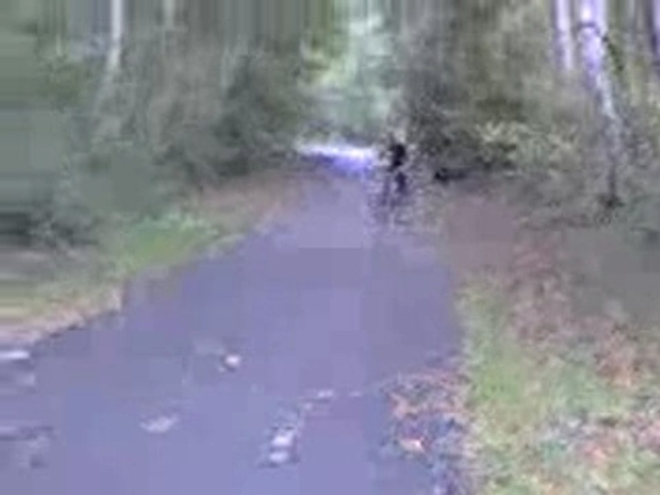 Bryan stunts sesion montage 1