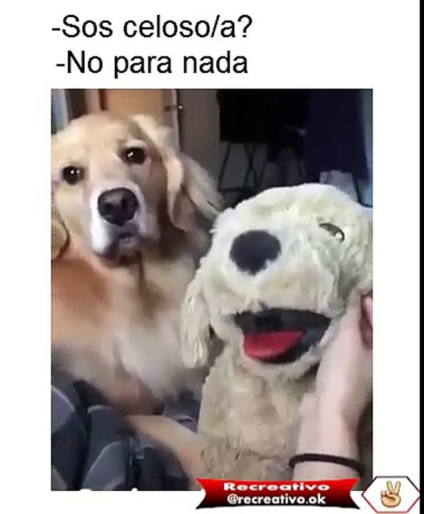 video celos