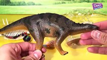 STEGOSAURUS Anatomy Toy Model 4D - Whats inside a STEGOSAURUS Body?