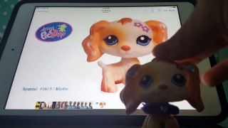 How to make an lps intro