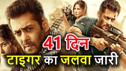 Tiger Zinda Hai 41st Day Box Office Collection, Salman Khan, Katrina Kaif