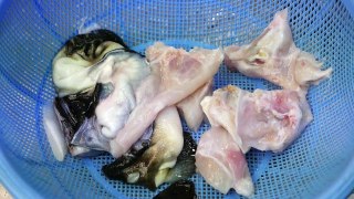 Japon sokak yemeği - Kirpi balığı Japonya