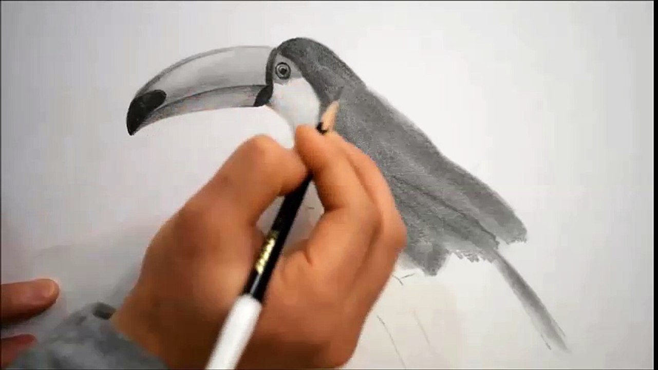 연필드로잉 - 동물(새/토코투칸)그리기 [ Drawing animals - Toco toucan / Speed drawing ]